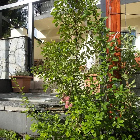 Hasaba 3* Krościenko