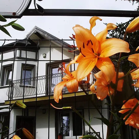 Affittacamere Hasaba