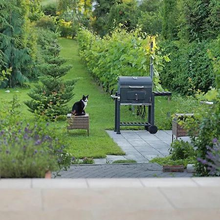 Hasaba ゲストハウス 3*